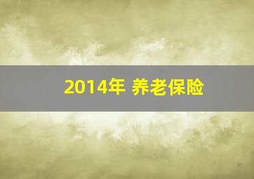 2014年 养老保险